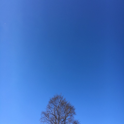 Blå himmel